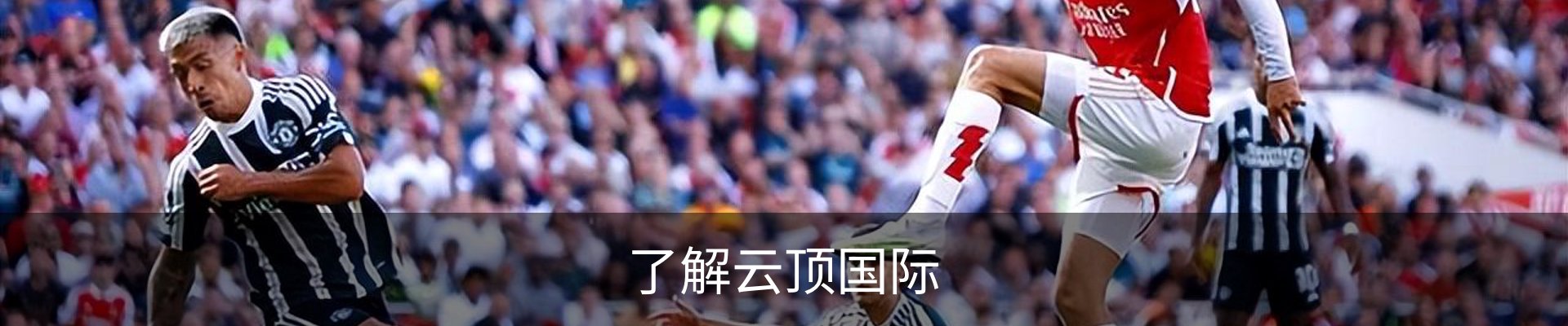 了解云顶国际